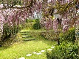 LE GAI SEJOUR studio